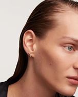 Foto de Pendientes Motion 