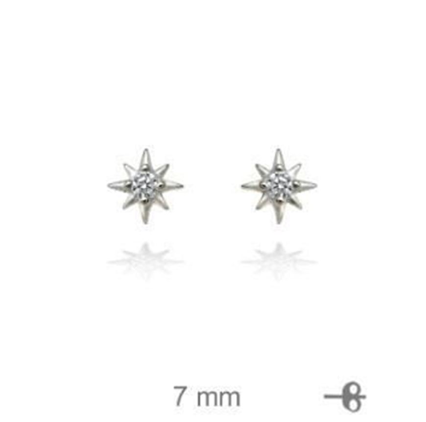 Picture of Pendientes estrella polar con circonitas blancas