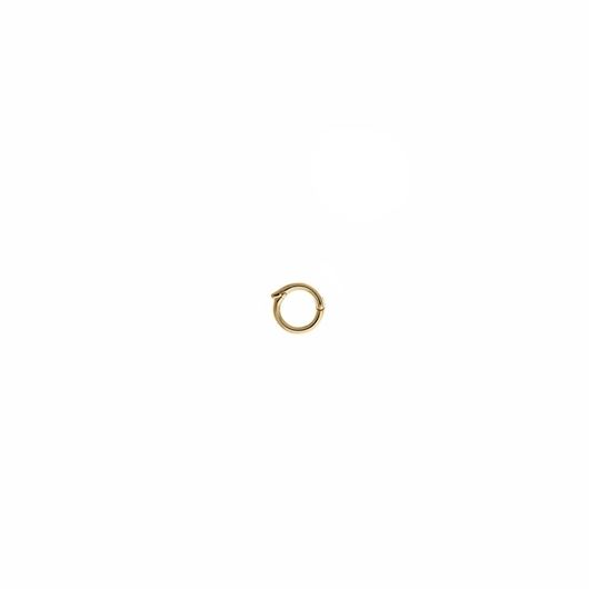 Foto de Anilla conector redonda de plata baño de oro para Miscellany Charms
