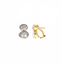 Picture of Pendienes dorados con circonitas blanca oval