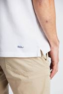 Picture of Pantalón jogger beige