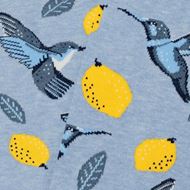 Picture of Calcetines Bird & lemons azul claro