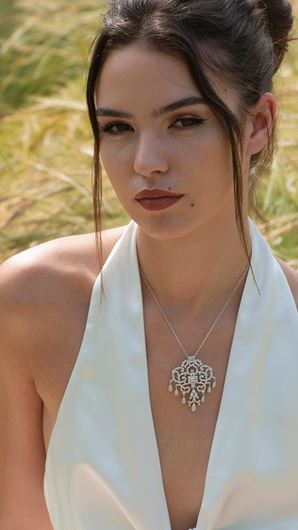 Foto de Gargantilla y broche de plata rodiada con filigrana de flores en circonitas blancas brillantes