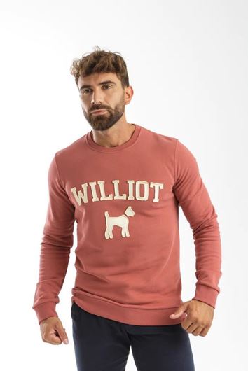 Foto de Sudadera Rojo Marsala con logo parche