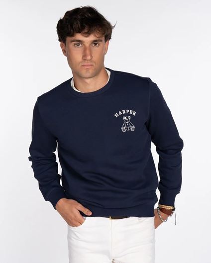 Foto de Sudadera Arthur Navy Blue