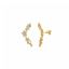 Mostrar los datos de Pendientes plata chapado dorado trepador estrellas circonitas 2 X 2.50cm Foto de Pendientes plata chapado dorado trepador estrellas circonitas 2 X 2.50cm
