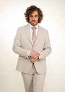 Picture of Traje Beige Regular Fit