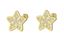 Foto de Pendientes de bebé Estrellas en oro amarillo 18kt y circonitas blancas