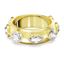 Foto de Anillo Dextera baño oro Talla 52