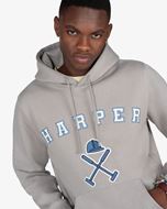 Foto de Sudadera Retro Hoodie Gray Ash