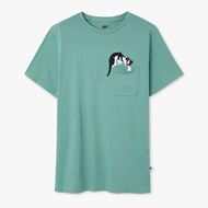Foto de Camiseta Silvester Sage Green
