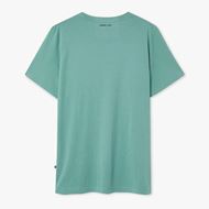 Foto de Camiseta Silvester Sage Green
