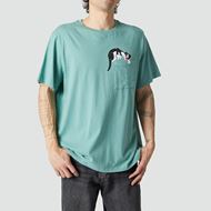 Foto de Camiseta Silvester Sage Green