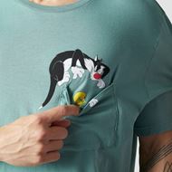 Foto de Camiseta Silvester Sage Green