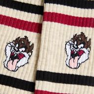 Foto de Calcetines Athletic Taz Beige M