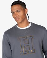 Foto de Sudadera Harvard Antracita