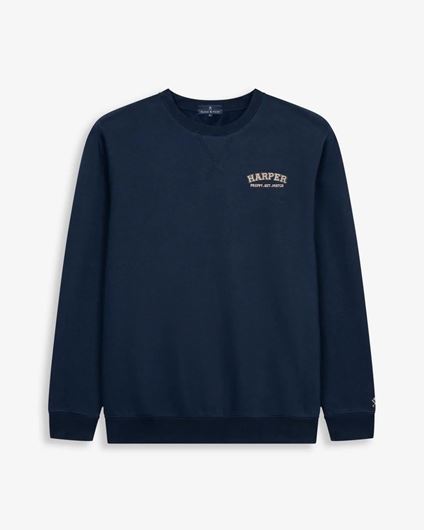 Picture of Sudadera Michigan Navy Blue