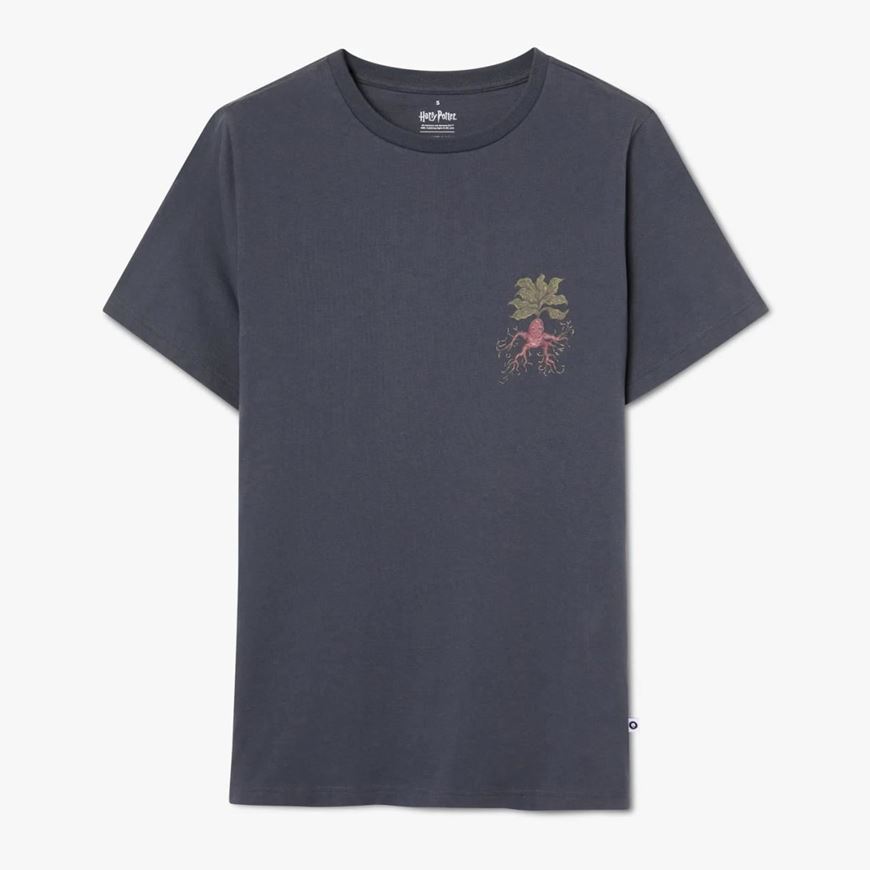 Foto de Camiseta Harry Potter Herbology Dark Grey