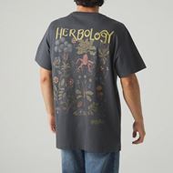 Foto de Camiseta Harry Potter Herbology Dark Grey