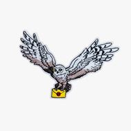 Foto de Pack Calcetines Harry Potter Various L