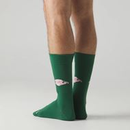 Foto de Calcetines Harry Potter Dobby Green L
