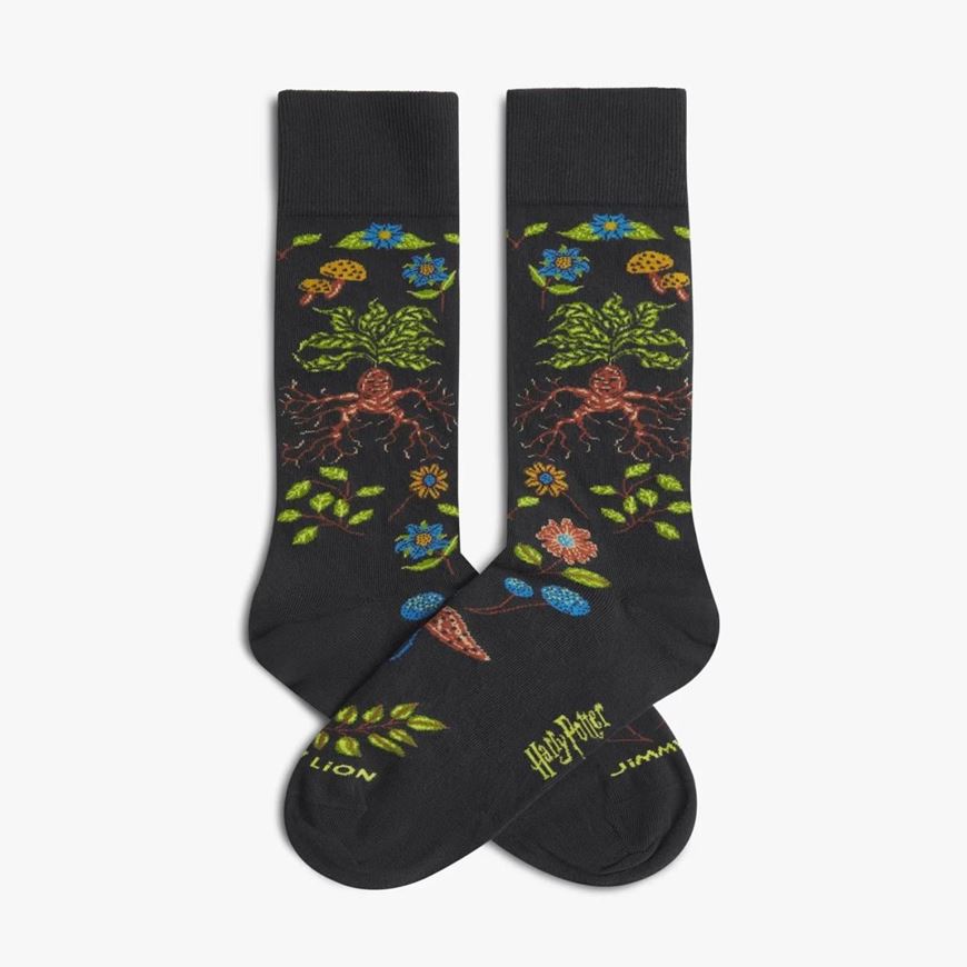 Foto de Calcetines Harry Potter Herbology Dark Grey M