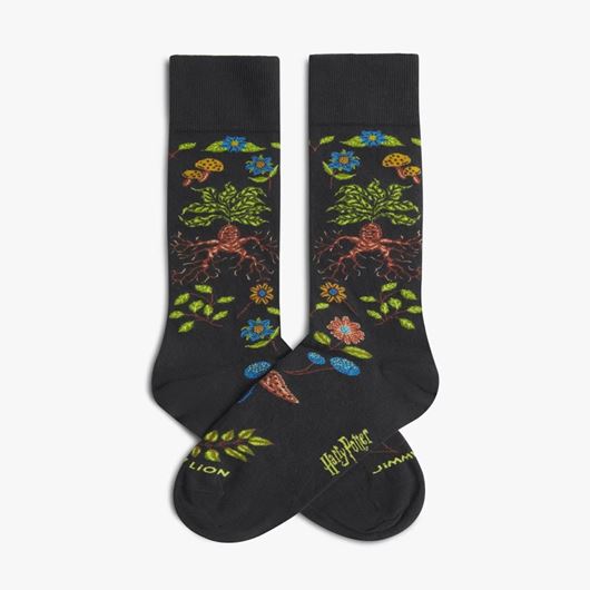 Foto de Calcetines Harry Potter Herbology Dark Grey L