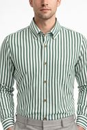 Foto de Camisa Regular Fit rayas verdes