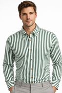 Foto de Camisa Regular Fit rayas verdes