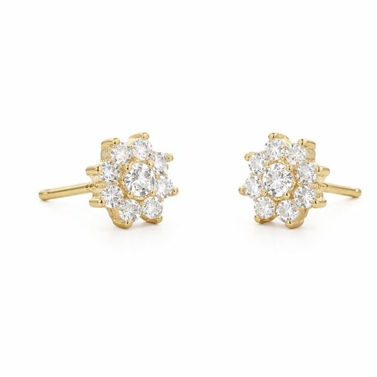 Foto de Pendientes oro amarillo 18kt con circonitas