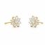Foto de Pendientes oro amarillo 18kt con circonitas