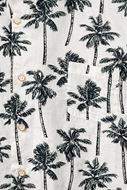 Picture of Camisa blanca estampado palmeras algodón
