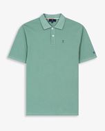 Foto de Polo ethnic garden green
