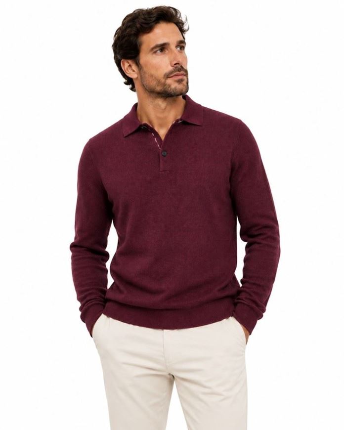 Foto de Jersey  algodón y cashmere cuello polo microestructura color berenjena