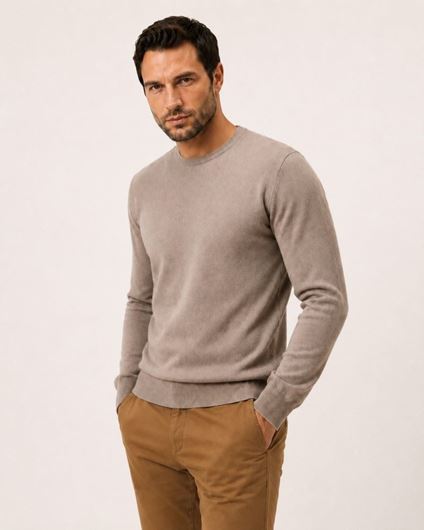 Foto de Jersey de punto fino cuello redondo en algodón color arena