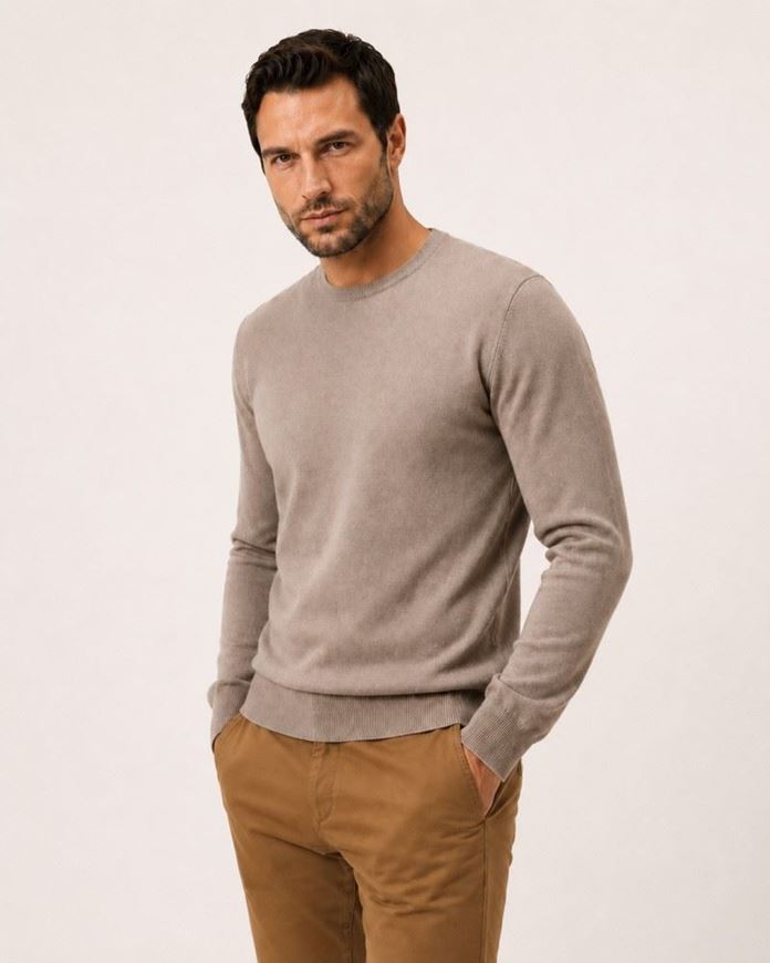Foto de Jersey de punto fino cuello redondo en algodón color arena
