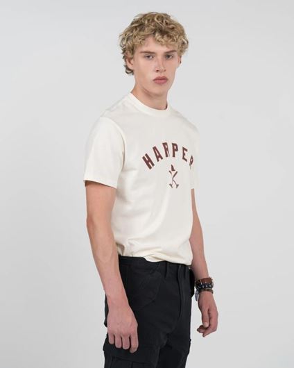 Foto de Camiseta New England crudo