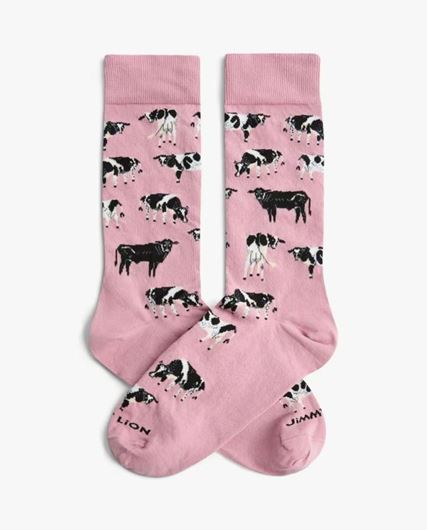 Foto de Calcetines odd cow out pink talla M
