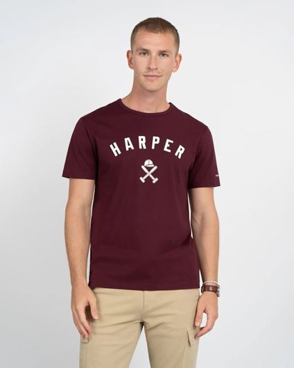 Picture of Camiseta New England Burgundy