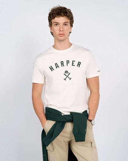 Foto de Camiseta New England crudo